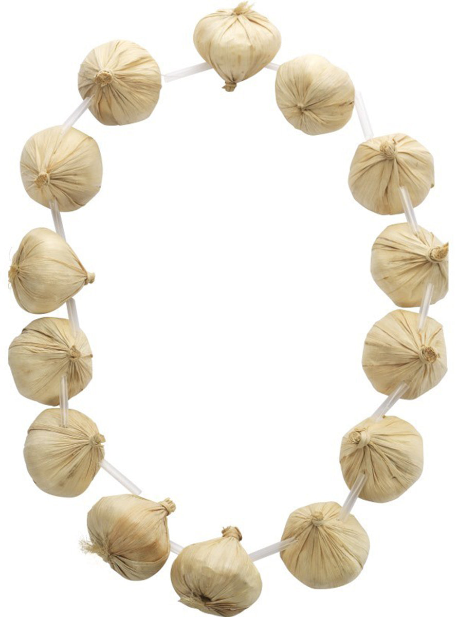 Collier d'ailes