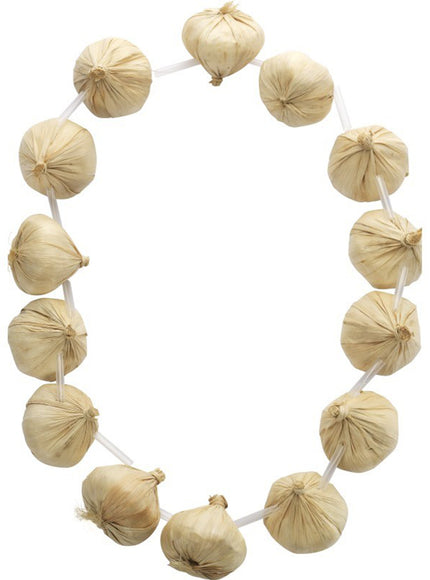 Collier d'ailes