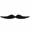 Moustache de Dali