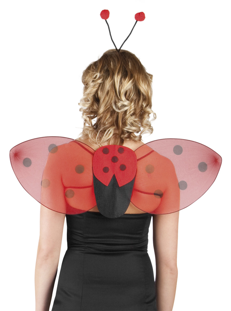 Kit ailes et diadème de coccinelle pour femme