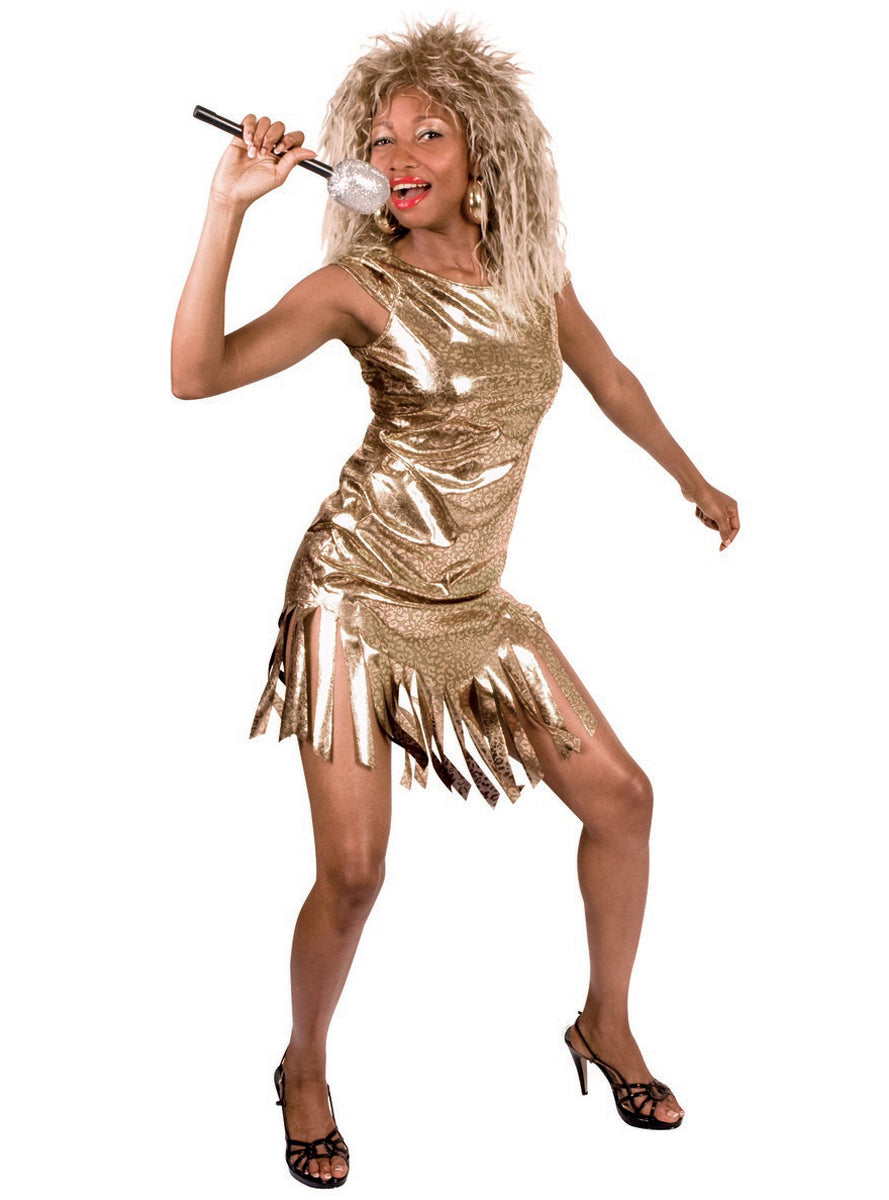 Déguisement Tina Turner