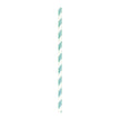 SET 10 PAILLES VERT MENTHE RAYURES BLANCHES