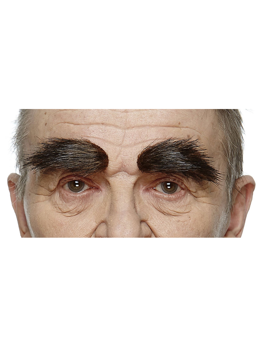 Sourcils soviétiques châtains adulte