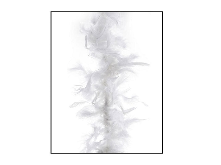 boa 35gr blanc 1.5m