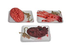 cerveau factice
