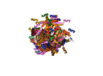 confettis de table motif 