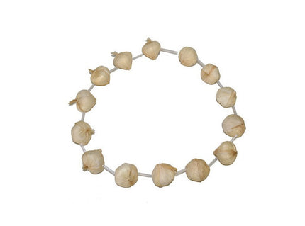 collier gousse d'ail en plastique