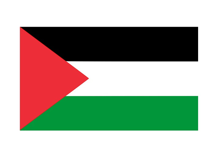 drapeau palestine 90x150 cm