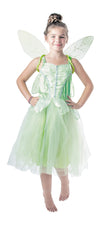 Costume fee