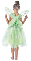 Costume fee