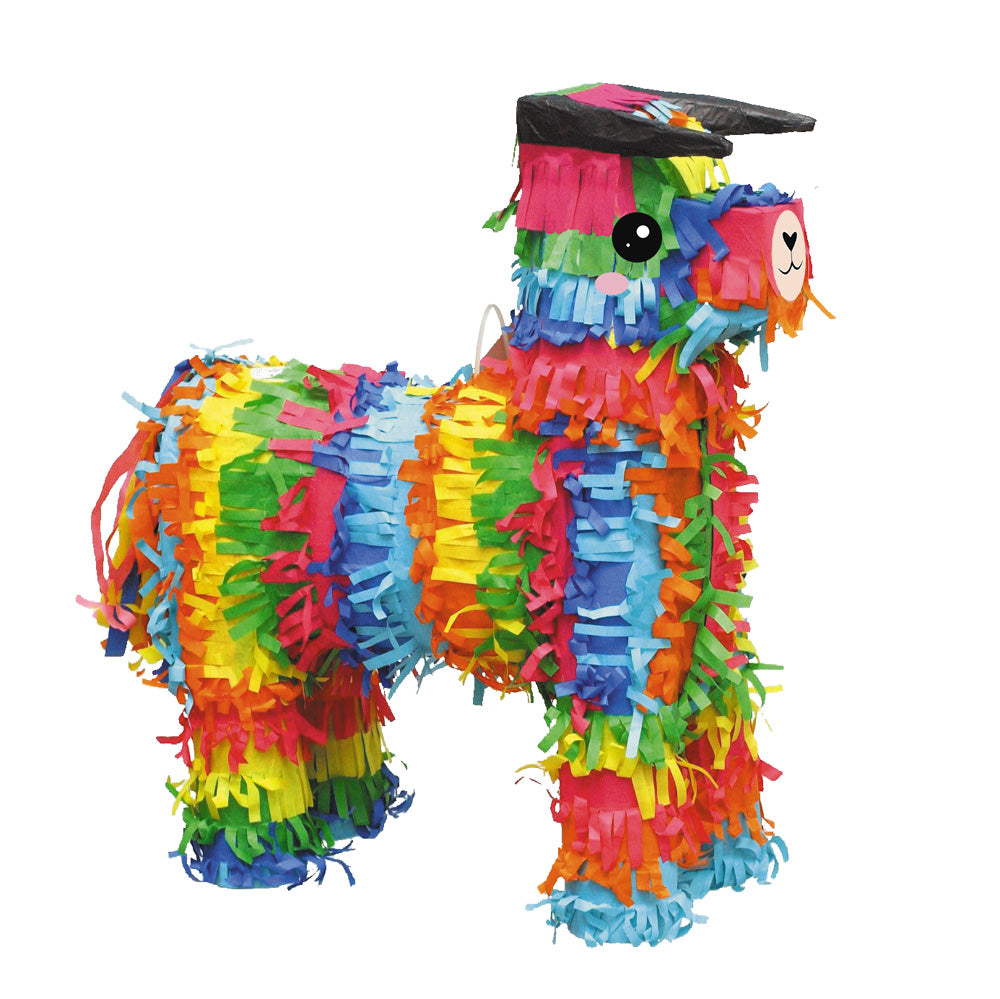 PINATA ANE