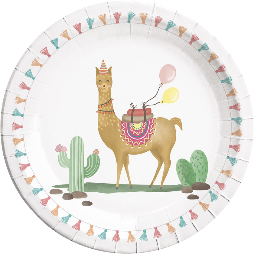 8 assiettes cactus