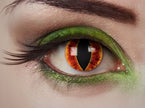 lentilles de contact loup tigre animal sauvage dore 1 jour