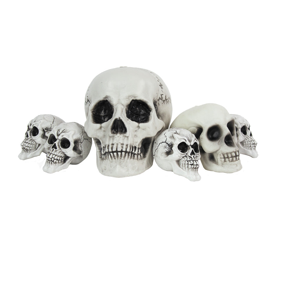FILET DE 6 TETES DE MORT ASSORTIES