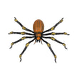 ARAIGNEE MORTELLE 21CM