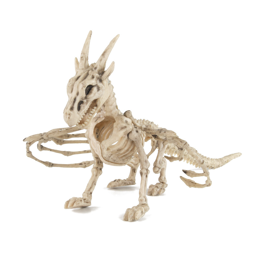 SQUELETTE DE DRAGON 35CM