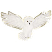 Assiettes chouette apprenti sorcier 32cm  x 8