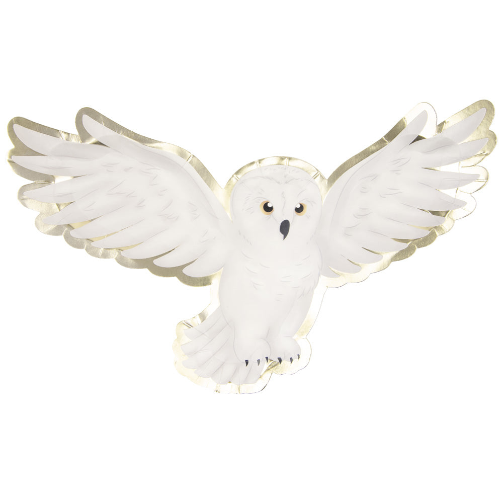 Assiettes chouette apprenti sorcier 32cm  x 8