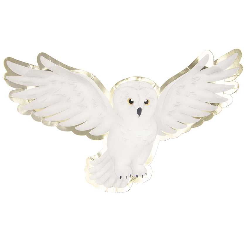 Assiettes chouette apprenti sorcier 32cm  x 8