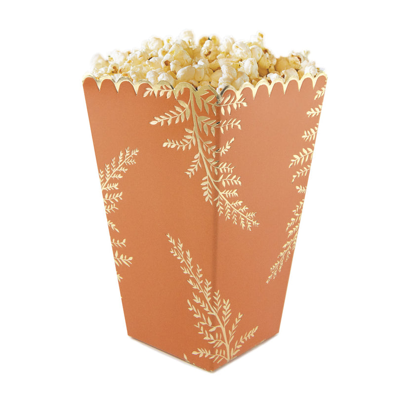 BOITES A POP-CORN FOUGERE TERRACOTTA X 8