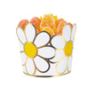 PETITS POTS MARGUERITES HIPPY PARTY X 8