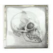 SERVIETTES 33X33CM CRANE CABINET DE CURIOSITES X 16