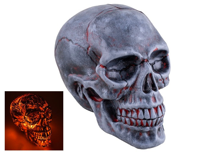 crne gris lumineux 20cm