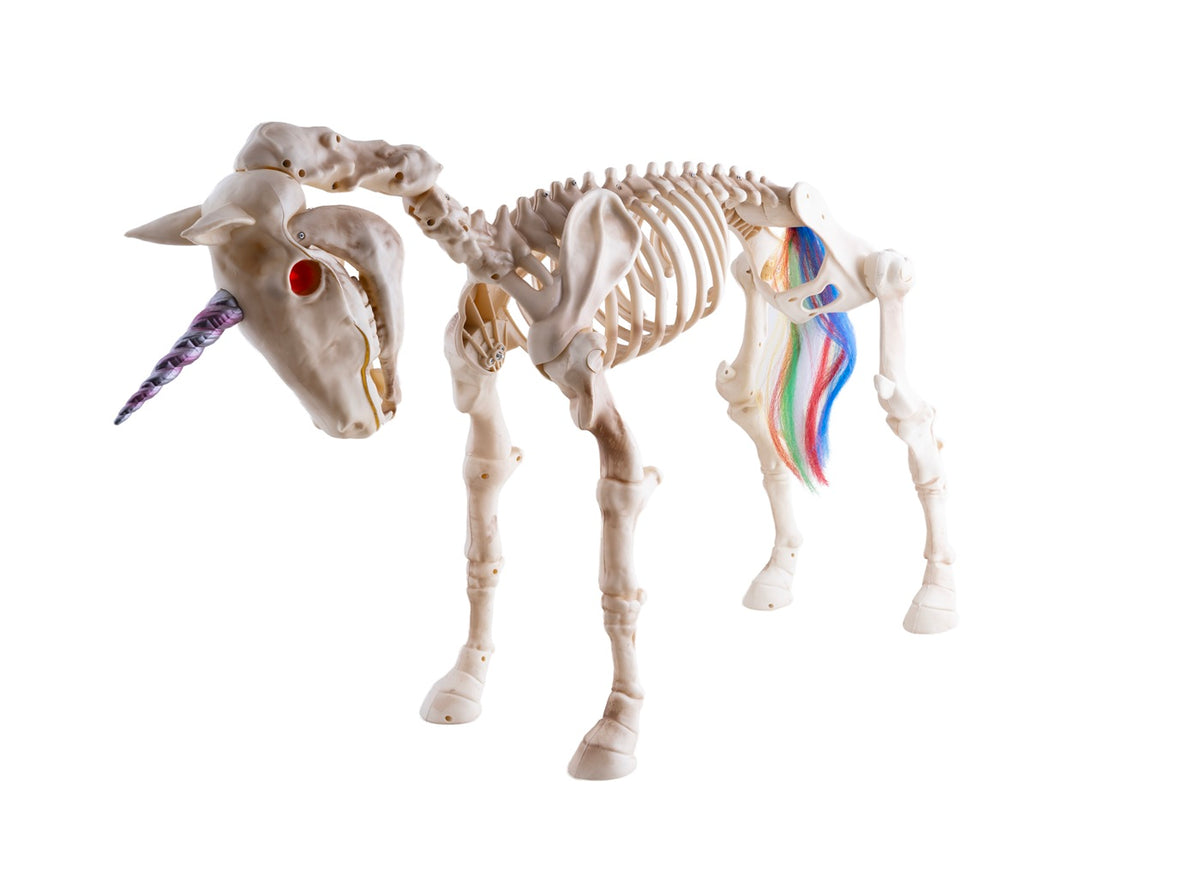 squelette zombie licorne lumineux et sonore 60x94cm