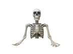 buste torse gant squelette poser 104cm