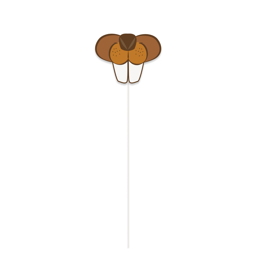 10 accessoires pour Photo booth bucheron