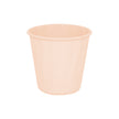 6 Tasses Décor Abricot 310ml - Amscan