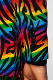 Wild Rainbow