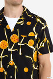 Dragon Ball Z - Dragon Ball
