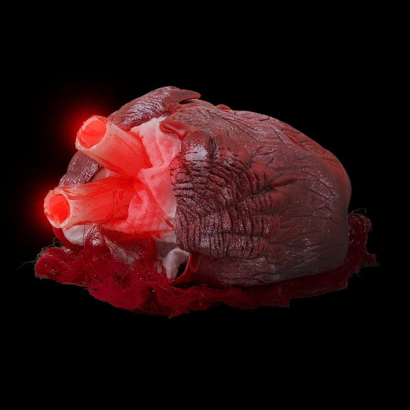 Cœur battant sanglant avec son éclairage rouge