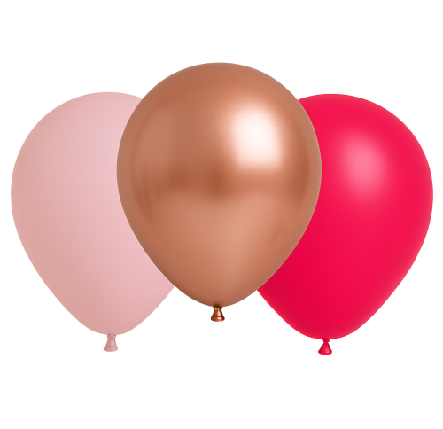 25 Ballons Latex 30 cm Camaïeu de Roses