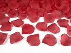 Lot de 100 Pétales de Rose Rouges