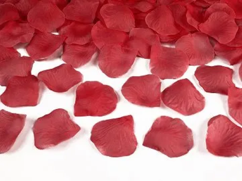 Lot de 100 Pétales de Rose Rouges