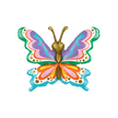 Papillon Groovy 13
