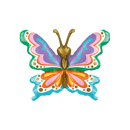 Papillon Groovy 13